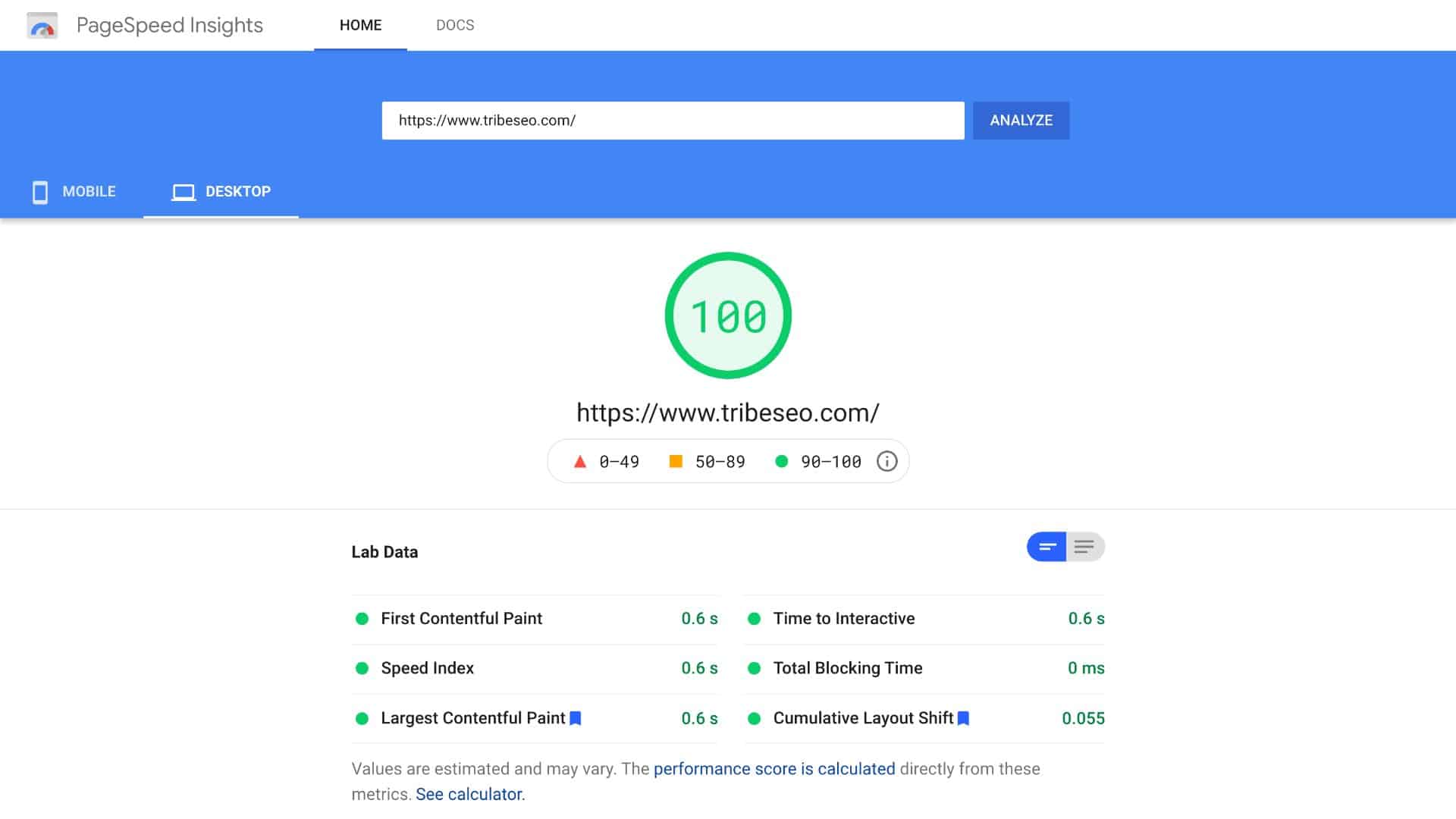 100% Google PageSpeed Insights score