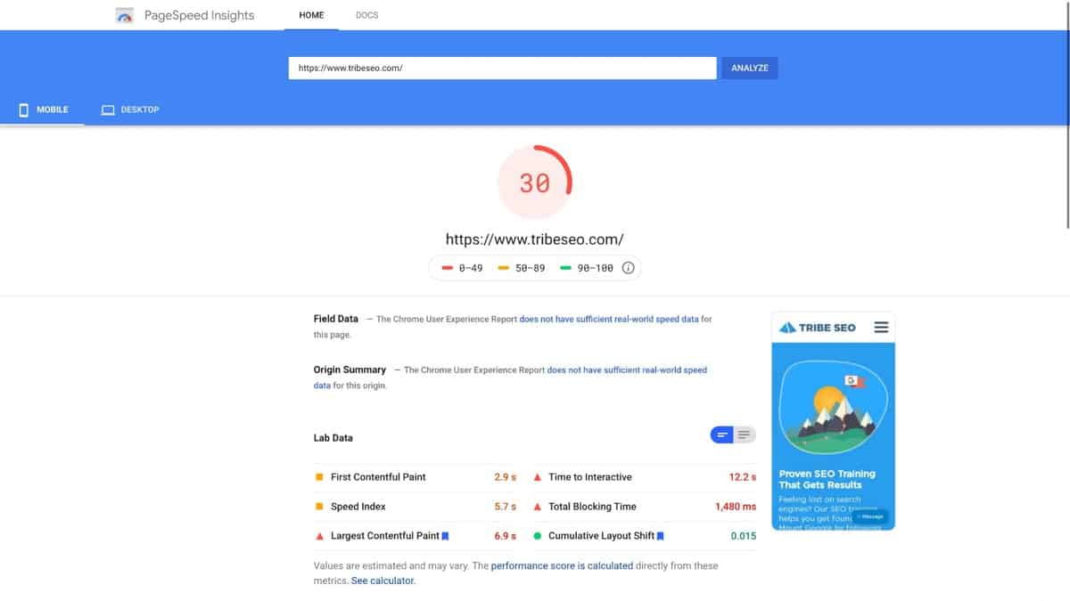 30% Google PageSpeed Insights score