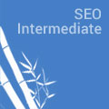 SEO Intermediate course logo